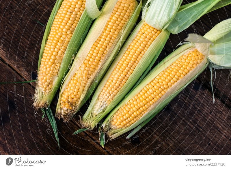 Raw corn in the garden Vegetable Nutrition Summer Garden Leaf Wood Fresh Natural Yellow Gold Green Harvest sweet background cob food healthy agriculture