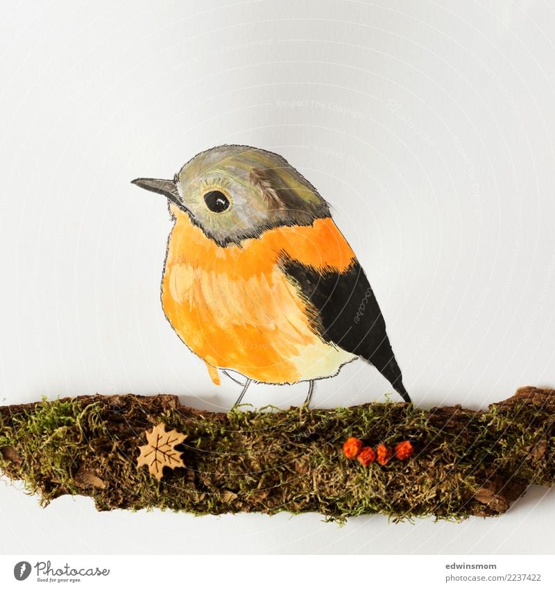 Little bird Leisure and hobbies Handicraft Nature Animal Autumn Moss Wild animal Bird 1 Paper Decoration Wood Observe Looking Wait Friendliness Small Natural