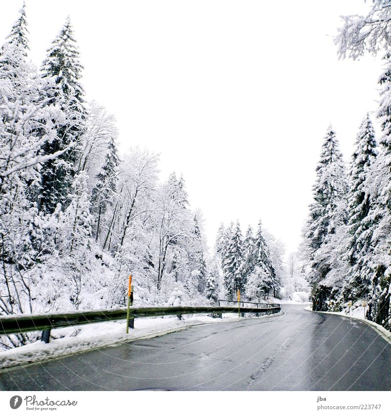 winter road Winter Snow Fog Fir tree Forest Brook Saanenland Switzerland Traffic infrastructure Passenger traffic Motoring Street Crash barrier Wet Smoothness