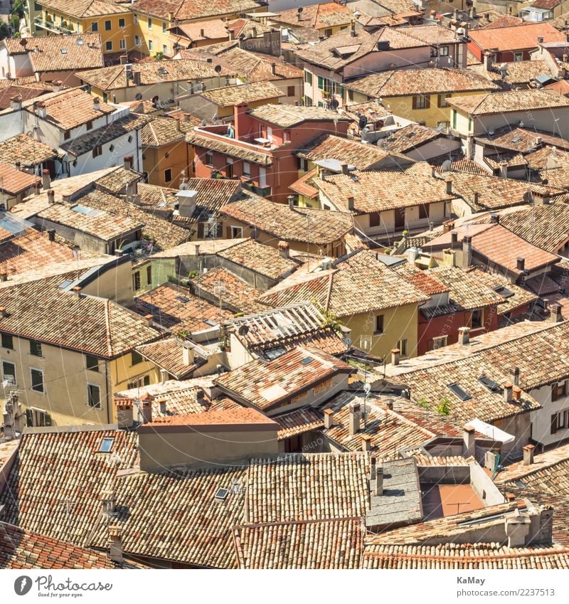 Sea of houses of Malcesine Sightseeing City trip House (Residential Structure) Italy Italian Veneto Europe Village Small Town Old town Manmade structures