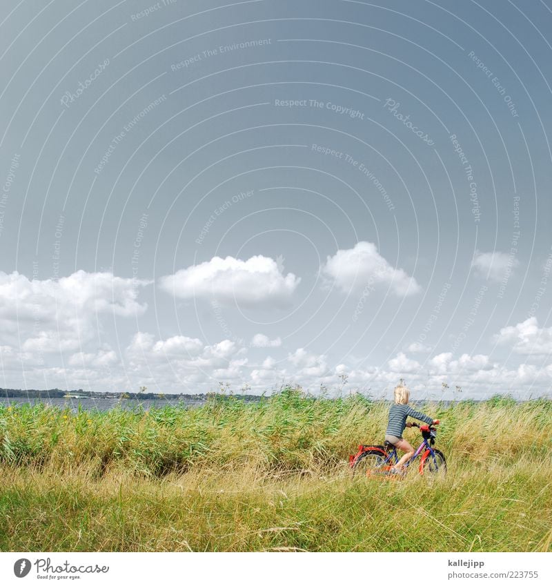 coastline Human being Boy (child) Life 1 Air Water Summer Climate Weather Beautiful weather Coast Bay Fjord Lake Bicycle Playing Sustainability