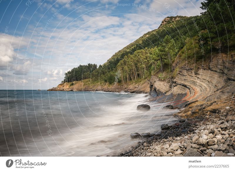 stony beach Nature Landscape Plant Sky Clouds Horizon Summer Beautiful weather Wind Tree Rock Waves Coast Beach Bay Ocean Blue Brown Gray Green Pink White