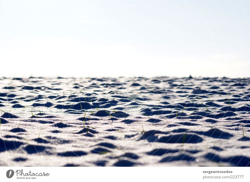 Snowy horizontal Well-being Calm Winter Winter vacation Environment Nature Landscape Plant Sky Climate Beautiful weather Ice Frost Grass Deserted Moody