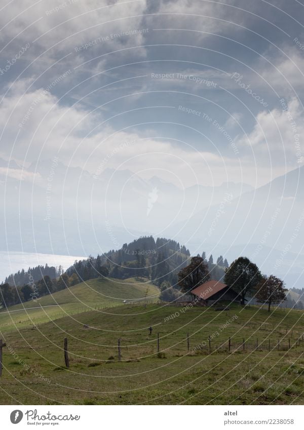 Bernese Oberland #1 Human being Child Infancy Nature Landscape Animal Clouds Horizon Autumn Meadow Alps Mountain Switzerland Hut Relaxation Hiking Moody Happy