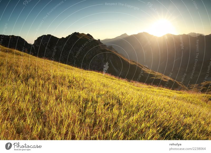 morning sunshine over high alpine meadow in summer Vacation & Travel Summer Sun Mountain Hiking Nature Landscape Sunrise Sunset Beautiful weather Warmth Grass