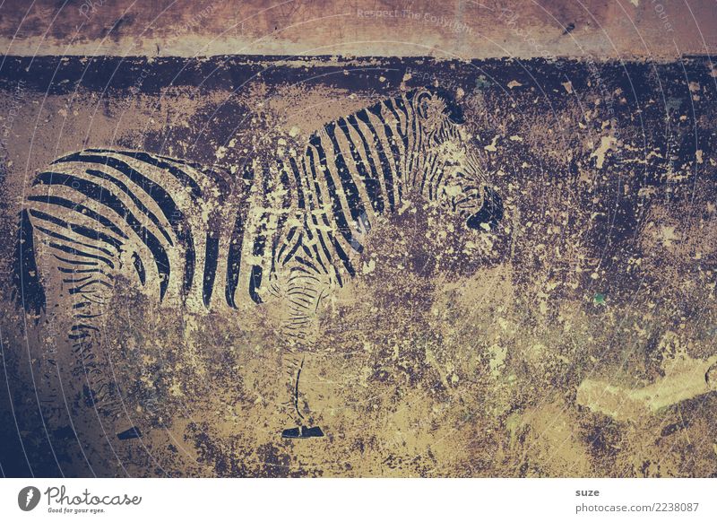 The Dahinvegettier Style Exotic Freedom Safari Art Work of art Culture Wall (barrier) Wall (building) Facade Wild animal 1 Animal Graffiti Stripe Old Poverty