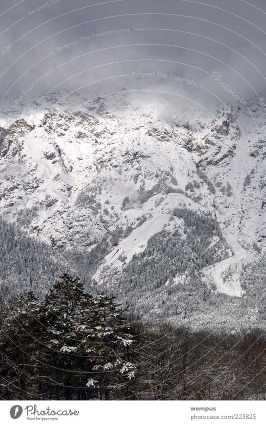 View from my kitchen window Environment Nature Landscape Fog Hill Rock Alps Mountain Brown Gray White Colour photo Exterior shot Day Panorama (View) Snow Tree