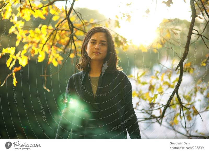 green Human being Feminine Young woman Youth (Young adults) Woman Adults 1 Environment Nature Sun Sunrise Sunset Autumn Weather Beautiful weather Breathe