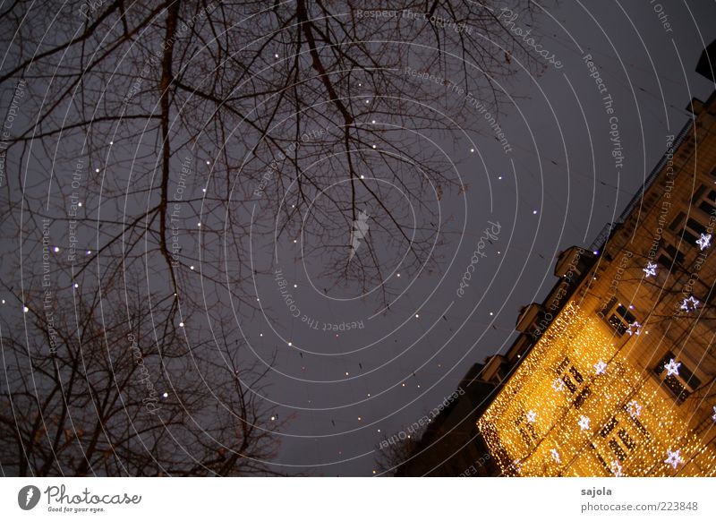 Lucy in the sky Zurich House (Residential Structure) Illuminate Star (Symbol) Facade Tree Electric bulb Sky Colour photo Exterior shot Deserted Evening Twilight