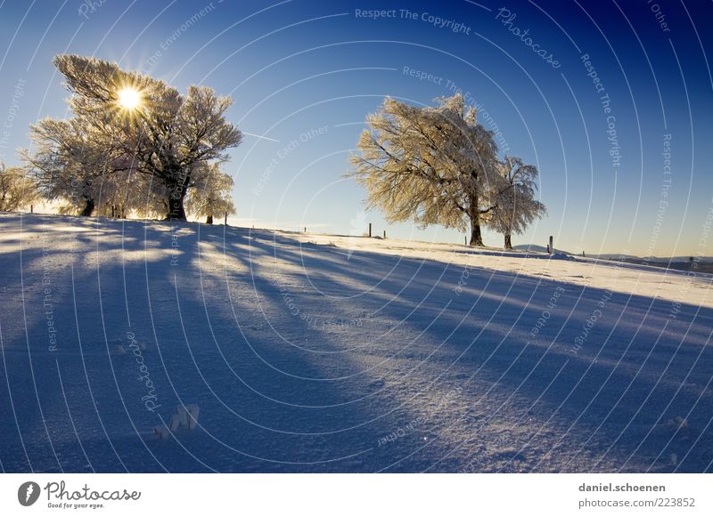 User meeting at Schauinsland ??!! Winter Snow Mountain Environment Nature Landscape Climate Beautiful weather Wind Ice Frost Tree Bright Cold Blue White