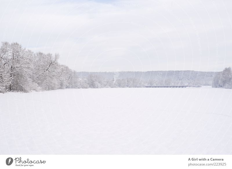 all thing white and beautiful Environment Nature Landscape Winter Snow Field Forest Bright Cold Beautiful White Romance Tree Covered Calm Wide Exterior shot