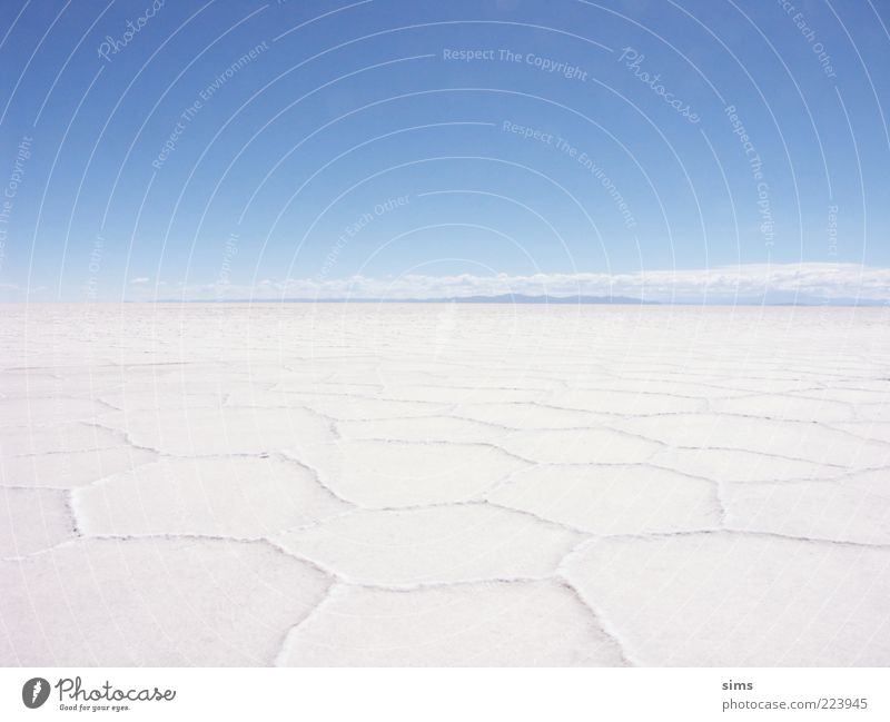 Salar de Uyuni Nature Landscape Sky Cloudless sky Salt  lake Desert Salt flats Bolivia South America Vacation & Travel Blue White Moody Uniqueness Freedom