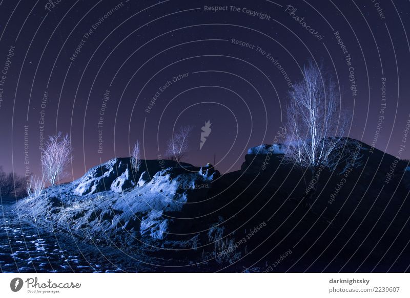 Night Desert Landscape Environment Nature Plant Elements Earth Sand Cloudless sky Night sky Stars Sunrise Sunset Winter Climate change Ice Frost Drought Tree