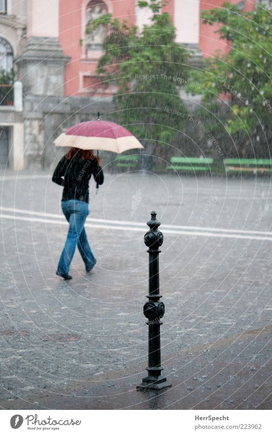 Under my Umbrella Human being Feminine Young woman Youth (Young adults) Woman Adults 1 18 - 30 years Weather Bad weather Storm Rain Ljubljana Slovenia