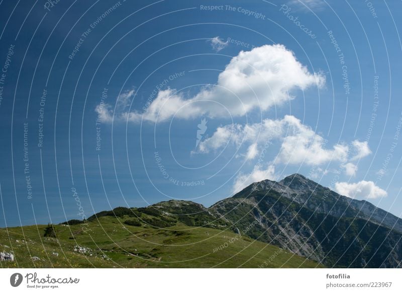 Summer memory [1] Environment Nature Landscape Sky Clouds Climate Weather Beautiful weather Meadow Rock Alps Mountain Peak Alpine pasture High mountain region