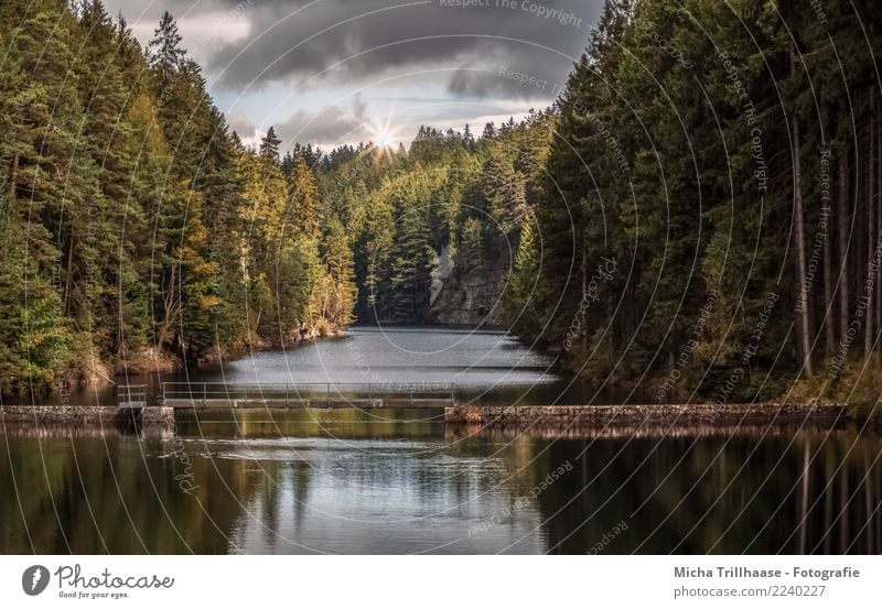 Old Tambach Dam - Dietharz / Thuringia Vacation & Travel Tourism Trip Summer Sun Nature Landscape Plant Water Sky Clouds Sunlight Tree Forest Lakeside Reservoir