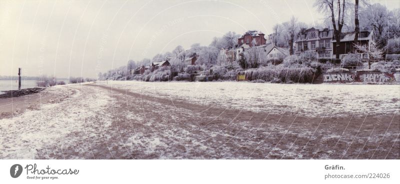 ice age Beach Winter Snow House (Residential Structure) Sand Sky Clouds Bad weather Ice Frost Tree River bank Elbe Lanes & trails Cold Brown Gray Loneliness