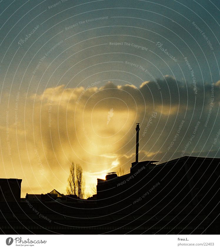 Winter sky Poplar Roof Clouds Back-light House (Residential Structure) Dark Sky Sun Evening Chimney Bright Lamp