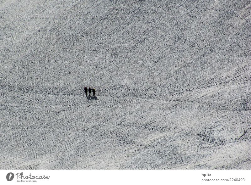 Alone in white Landscape Elements Winter Ice Frost Snow Mountain Glacier Footprint Together Cold Determination Passion Beautiful Solidarity Adventure Effort