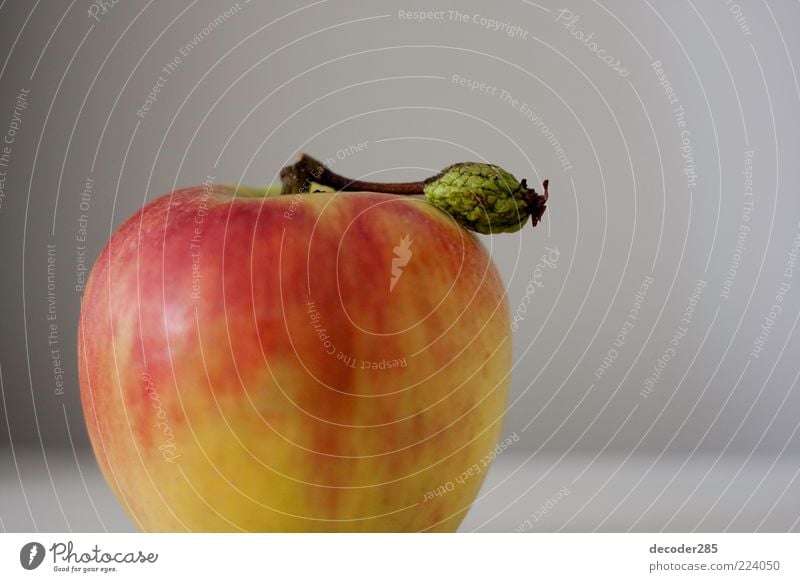 Apple with leaf Food Vegetarian diet Plant Agricultural crop Colour photo Interior shot Studio shot Deserted Copy Space right Neutral Background