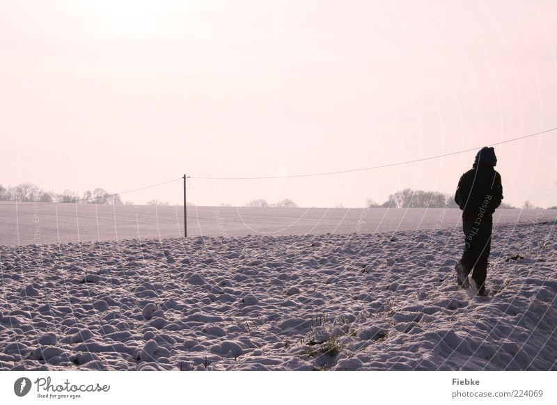 winter weather Child 1 Human being Nature Landscape Sky Winter Beautiful weather Snow Field Violet Cold To go for a walk Coat Far-off places Bright Colour photo