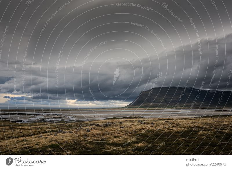 The lovely south Nature Landscape Plant Air Sky Clouds Horizon Spring Beautiful weather Bad weather Wind Grass Moss Rock Mountain Coast Beach Fjord Ocean Dark