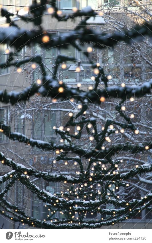 starlights Decoration Sign Green Anticipation Humanity Peace Hope Calm Desire Christmas star Electric bulb Exterior shot Deserted Evening Artificial light Blur