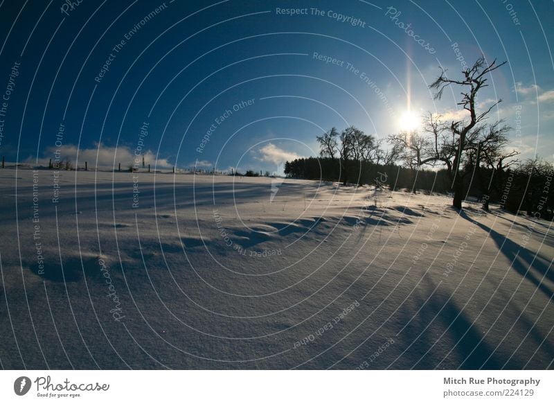 SNOW! Sun Winter Snow Winter vacation Nature Landscape Plant Horizon Weather Beautiful weather Ice Frost Tree Herschweiler-pettersheim Germany Europe Village