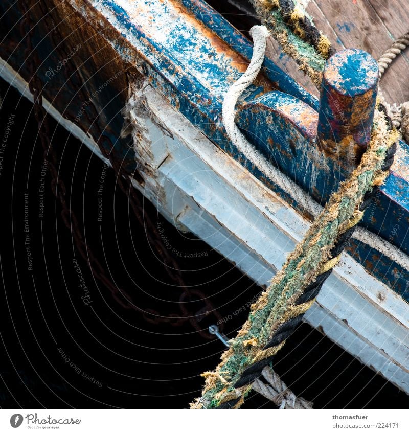 fish and ships Summer Fishing boat Rowboat Rope Wood Blue Colour Idyll Decline Colour photo Exterior shot Close-up Detail Deserted Copy Space left