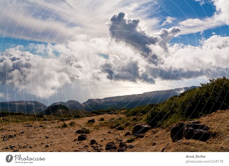 Clouds from above Island Mountain Environment Nature Landscape Sky Summer Weather Beautiful weather Tree Bushes Hill Coast Far-off places Portugal Madeira Steep