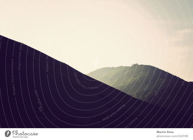 good morning sunshine Nature Landscape Air Sunrise Sunset Beautiful weather Fog Hill Mountain Fresh Large Round Esthetic Contentment Loneliness