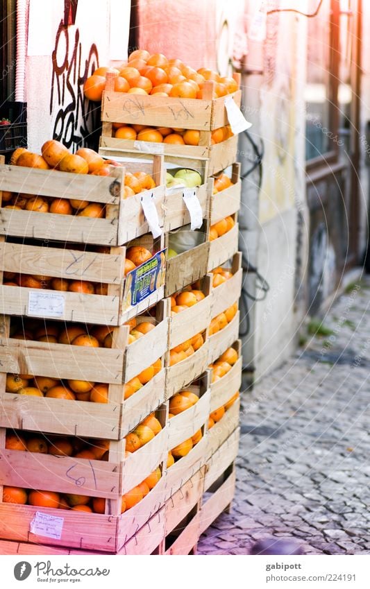 Orange for the Christmas plate Food Fruit Nutrition Juicy Competition Crate Hypermarket Fruity Delicious Multicoloured Deserted Day Light Reflection