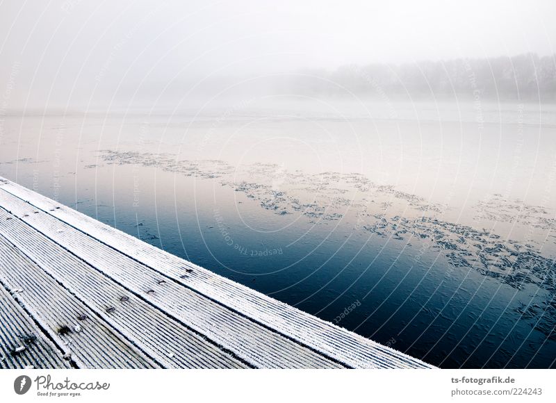 Quiet shore Environment Nature Landscape Elements Air Water Winter Fog Ice Frost Lakeside River bank Cold Blue White Footbridge Jetty Fog bank Wall of fog