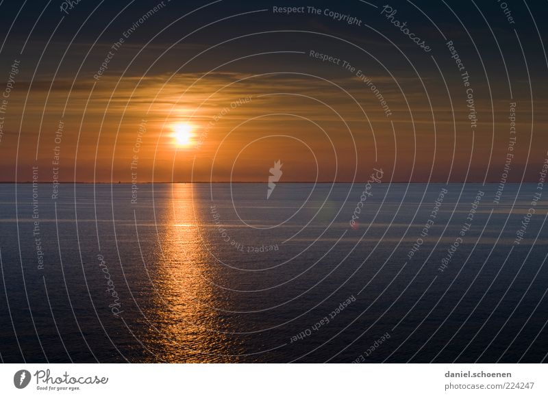 Merry Christmas! Vacation & Travel Beautiful weather Ocean Yellow Beginning Relaxation Horizon Future Copy Space top Copy Space bottom Evening Twilight Light