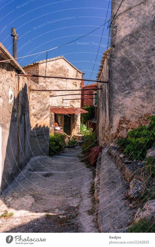 Lanes Liapades'/ Voltage Cloudless sky Summer Bushes Pot plant liapades Corfu Village Deserted House (Residential Structure) Architecture Wall (barrier)