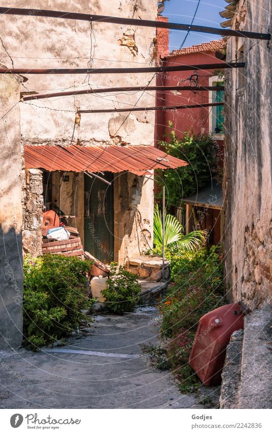 Lanes Liapades' II Cloudless sky Summer Flower Bushes Foliage plant Pot plant liapades Corfu Village House (Residential Structure) Architecture Wall (barrier)