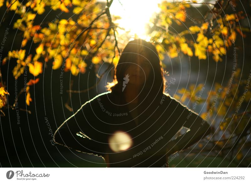 Defying the sun V Human being Feminine Young woman Youth (Young adults) 18 - 30 years Adults Environment Nature Autumn Plant Tree Leaf Park Stand Illuminate