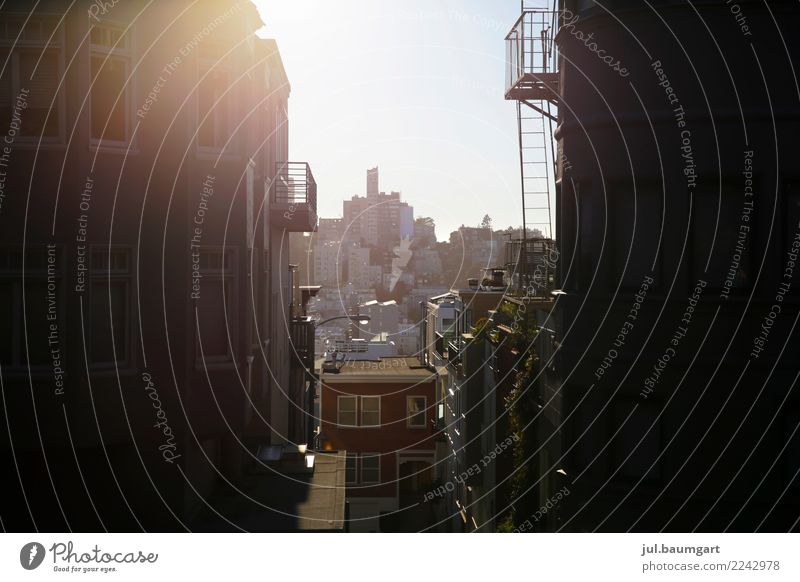 USA City San Francisco Vacation & Travel Sightseeing City trip Summer Sun California Town Old town Skyline Deserted House (Residential Structure) Building