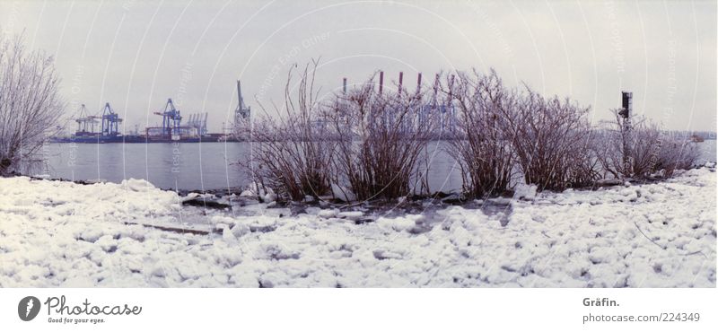 Ice Age 2 Winter Snow Landscape Sky Bad weather Frost River bank Elbe Cold Gray Nature Calm Dockside crane Colour photo Exterior shot Copy Space left Day