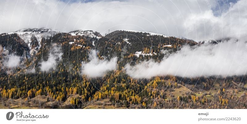 Cloudy Environment Nature Landscape Clouds Autumn Forest Hill Mountain Natural Tourism Canton Wallis Switzerland Colour photo Exterior shot Deserted Day