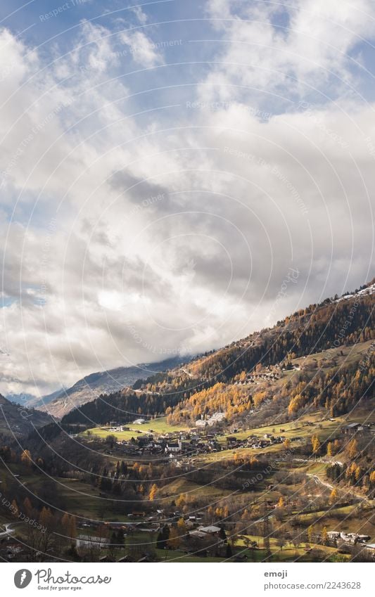 Valais Environment Nature Landscape Autumn Beautiful weather Forest Hill Natural Tourism Canton Wallis Switzerland Class outing Colour photo Exterior shot