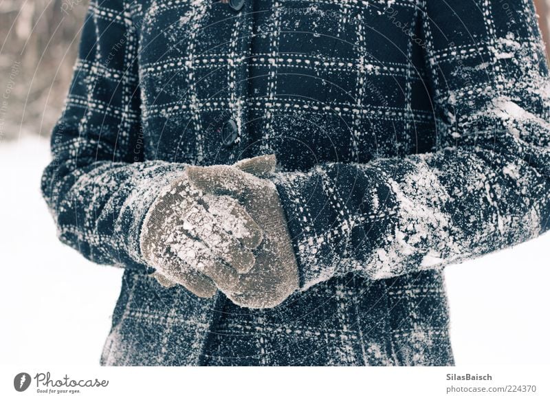 snowed in Winter Snow Coat Gloves Playing Brash Enthusiasm Snowball fight Snowscape Colour photo Copy Space top Front view Jacket Cold Stick