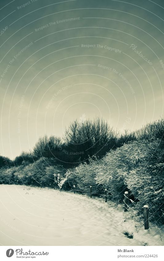 winter XI Landscape Sky Winter Weather Ice Frost Snow Tree Bushes Freeze Wait Cold Black White Concern Wanderlust Loneliness Freedom Fence Fence post