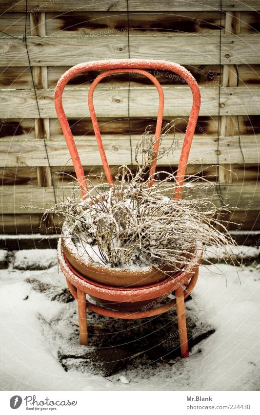 winter time is rest period II Flat (apartment) Garden Winter Ice Frost Snow Plant Wait Old Authentic Brown White Sadness Longing Loneliness Chair Backrest