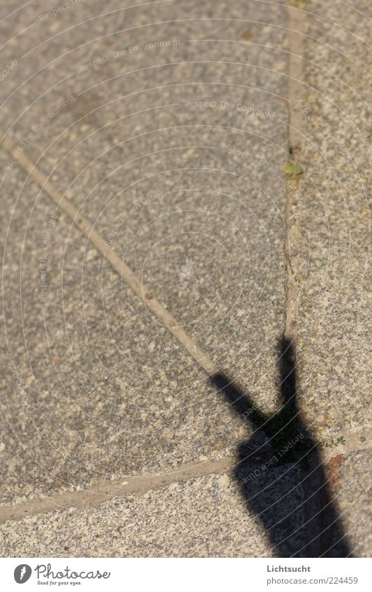 Victory all along the line Hand Fingers Gray Optimism Success Peaceful Hope Indicate Street Pavement Paving stone Cobbled pathway Geometry Corner Bright Gesture