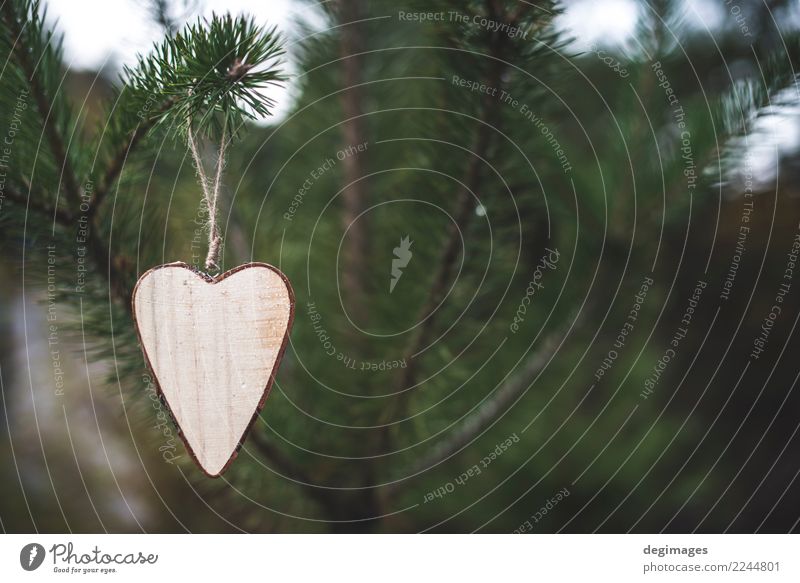 Wooden heart shape on fir Decoration Christmas & Advent Nature Tree Forest Heart Old Love Natural Brown Green White background christmas bark Consistency trunk