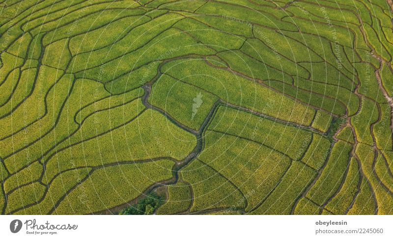 Aerial top view photo from flying drone Beautiful Vacation & Travel Tourism Mountain House (Residential Structure) Environment Nature Landscape Sky Tree Forest