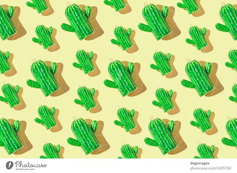 Cactus pattern Design Beautiful Summer Decoration Plant Flower Green background Succulent plants desert botanical thorn close sharp Vantage point cacti isolated