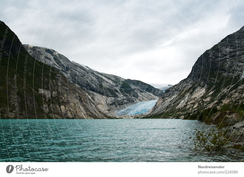 Happy New Year... Vacation & Travel Trip Far-off places Freedom Glacier Coast Bay Fjord Esthetic Cold Natural Climate Environment Glacier tongue Mountain Norway