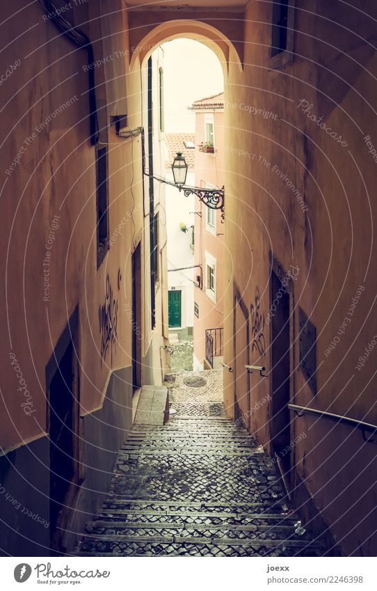 view Lisbon Portugal Capital city Port City House (Residential Structure) Wall (barrier) Wall (building) Stairs Lanes & trails Retro Brown Green Black Idyll